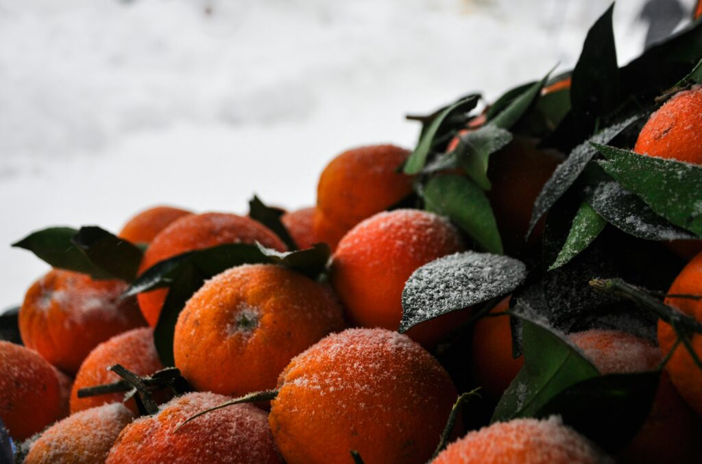 Frost Free Ventures Private Limited - Leading Cold Storage Solutions