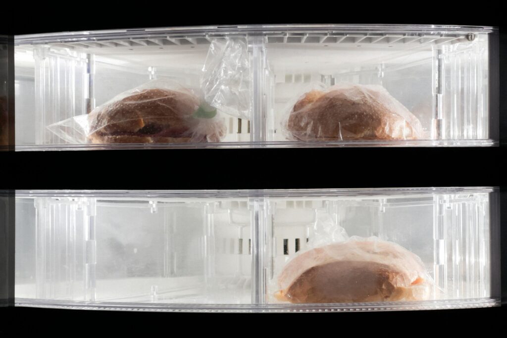 Cold Storage Providers in Faridabad