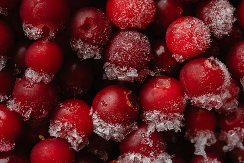 Frost Free Ventures Private Limited - Leading Cold Storage Solutions